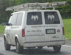 Think Rabies van